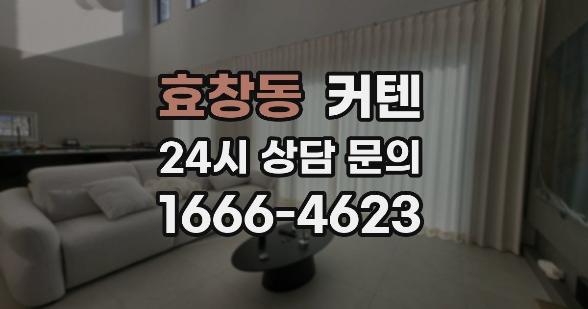 효창동 커텐