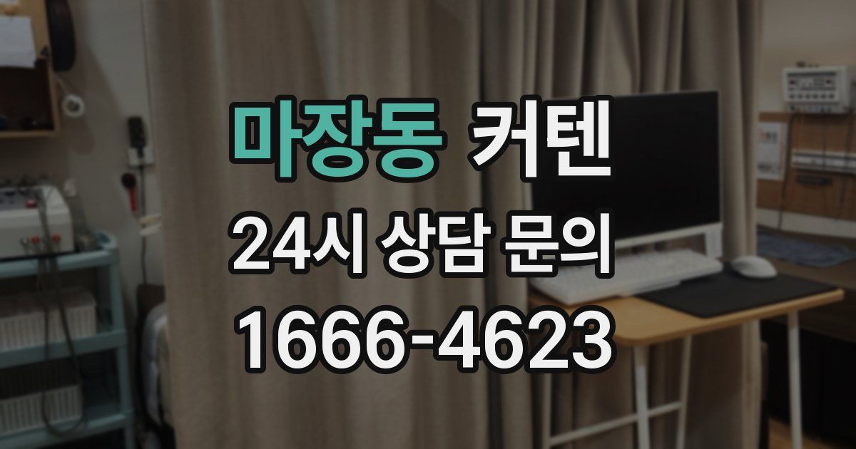 마장동 커텐