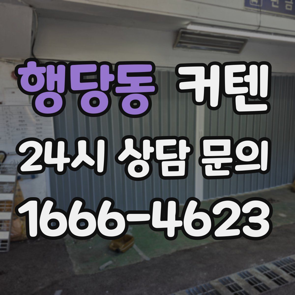 행당동 커텐