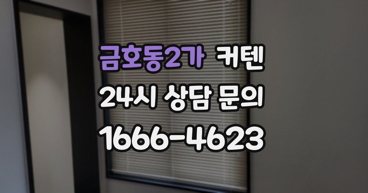 금호동2가 커텐