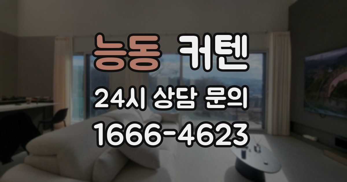 능동 커텐