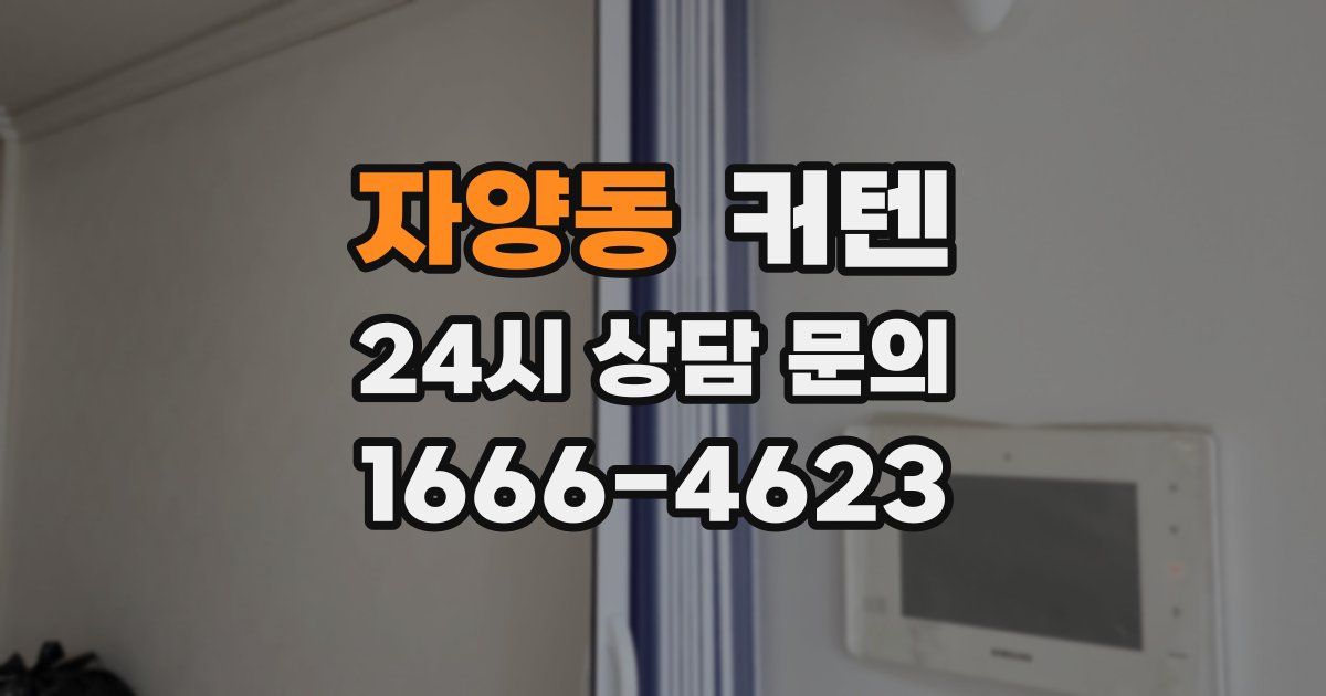 자양동 커텐