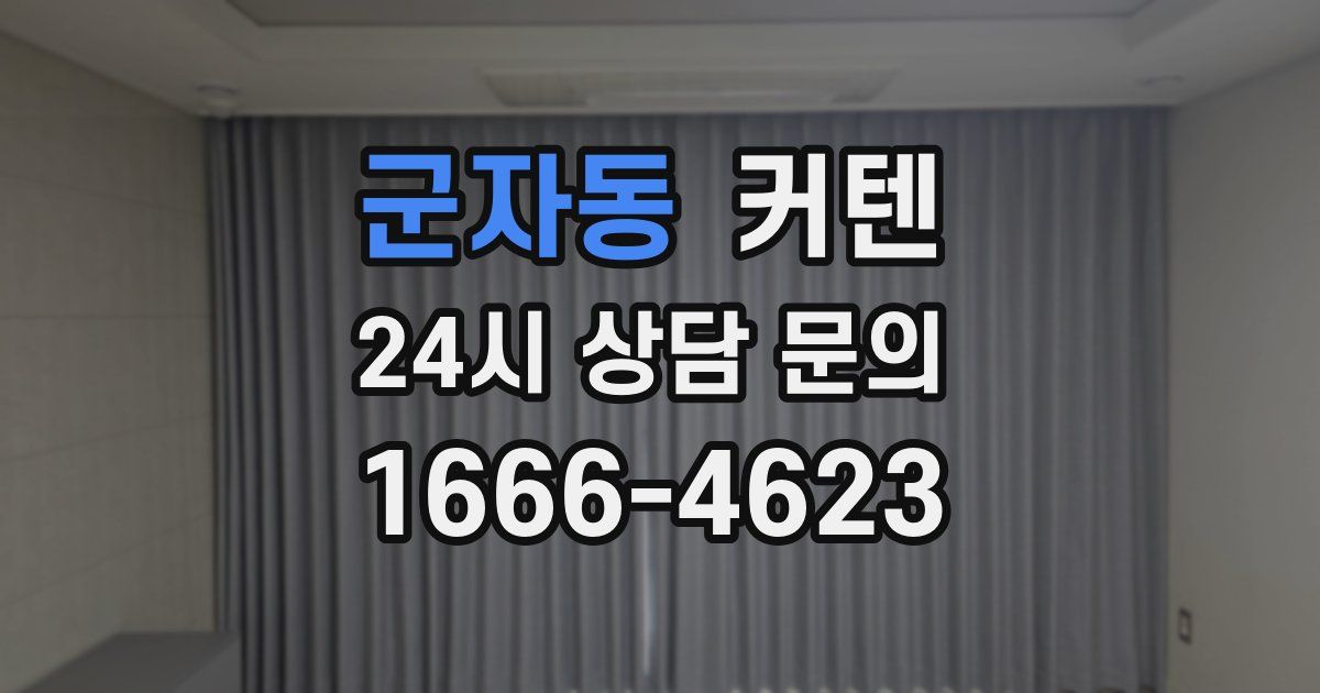 군자동 커텐