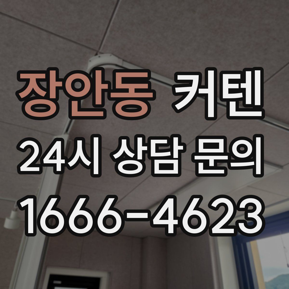 장안동 커텐