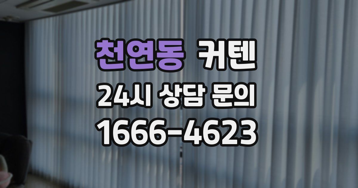 천연동 커텐