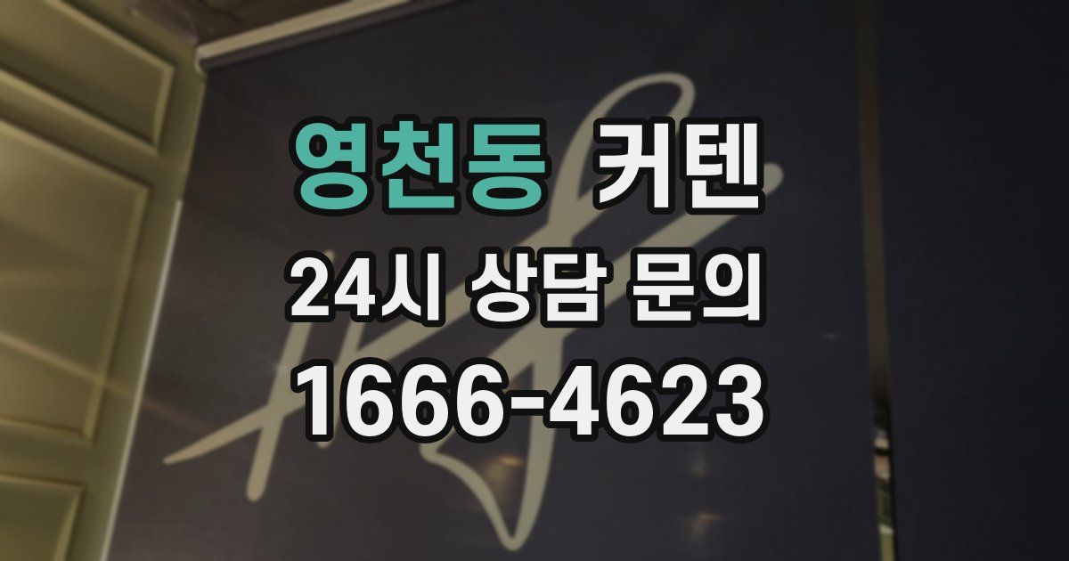 영천동 커텐