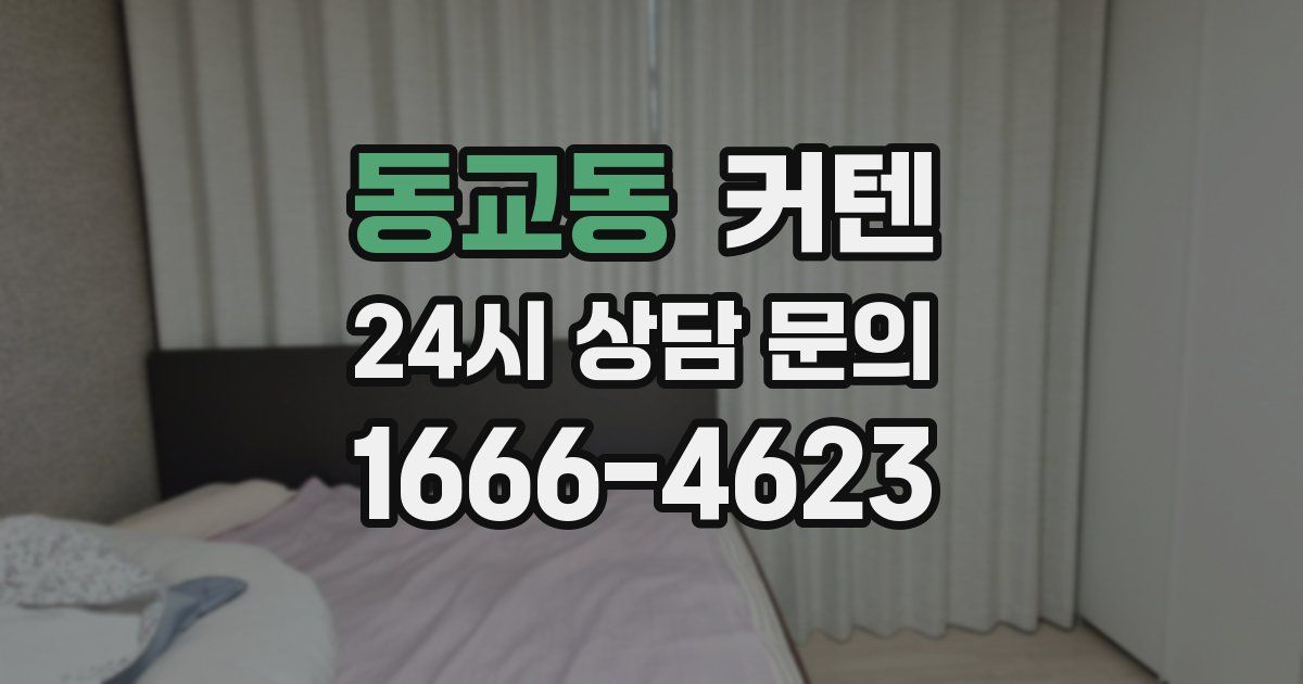 동교동 커텐
