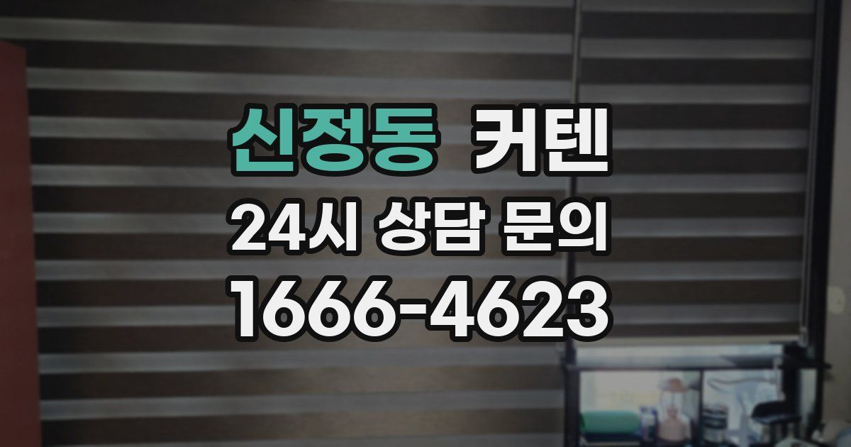 신정동 커텐