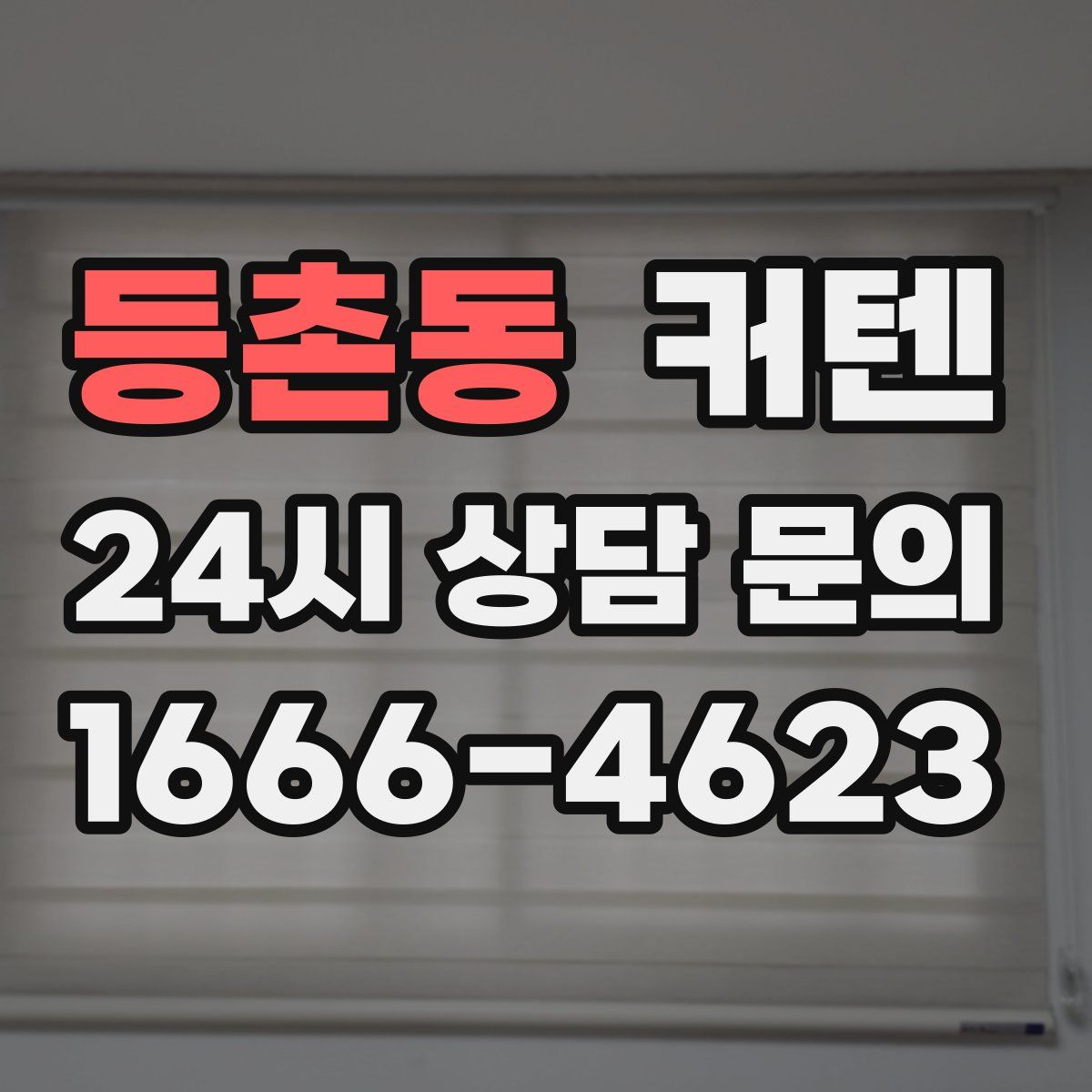 등촌동 커텐