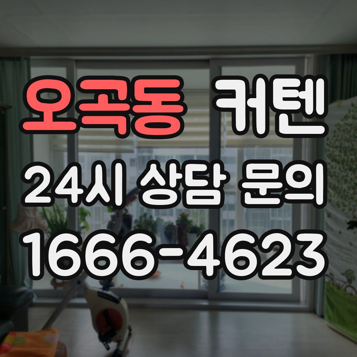 오곡동 커텐