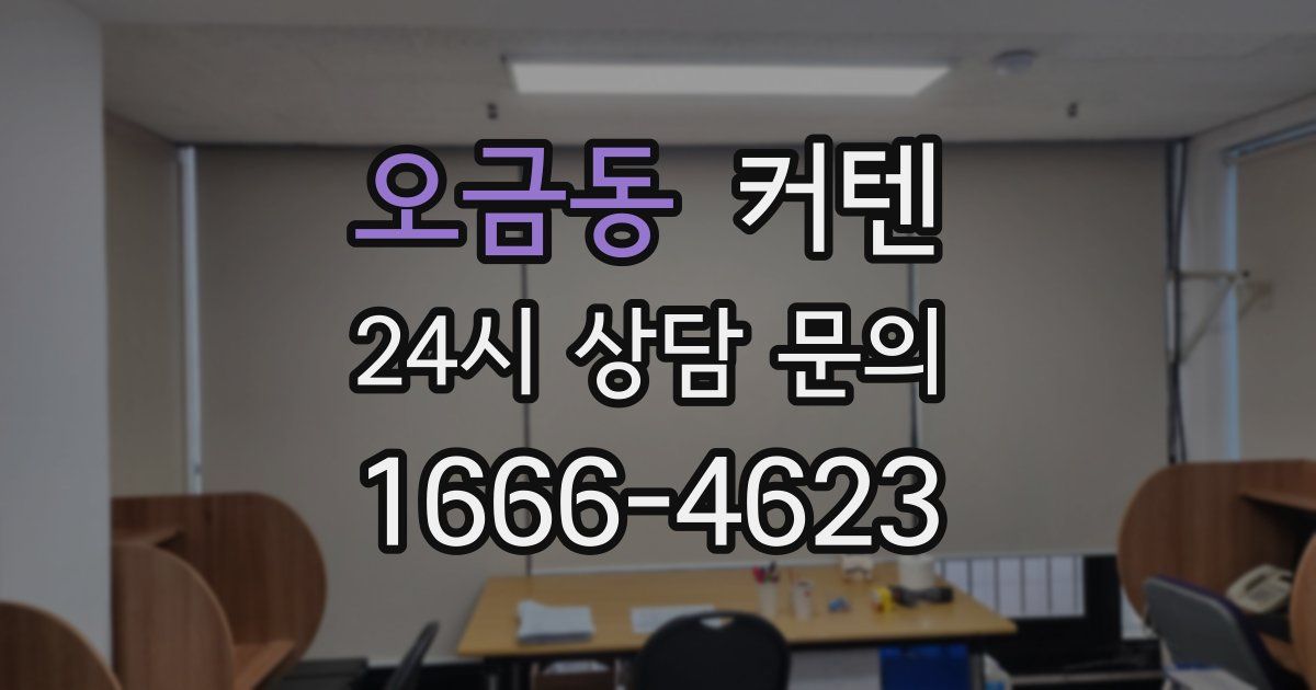 오금동 커텐