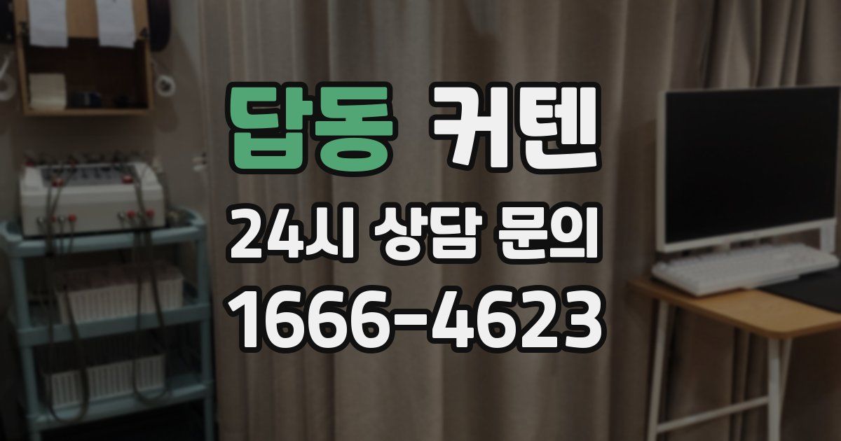 답동 커텐