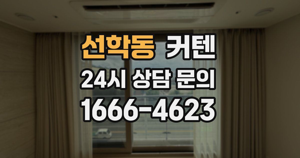 선학동 커텐
