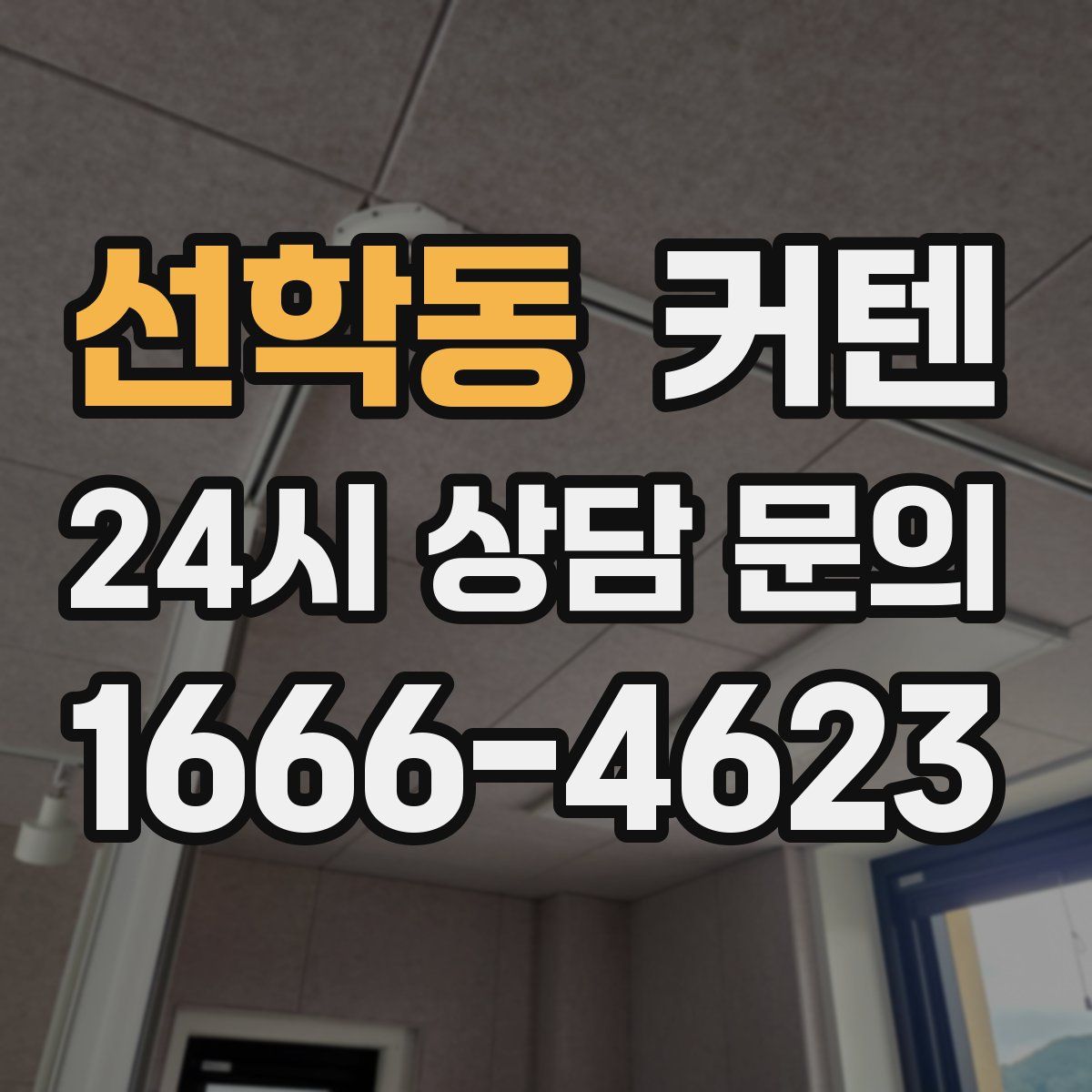선학동 커텐