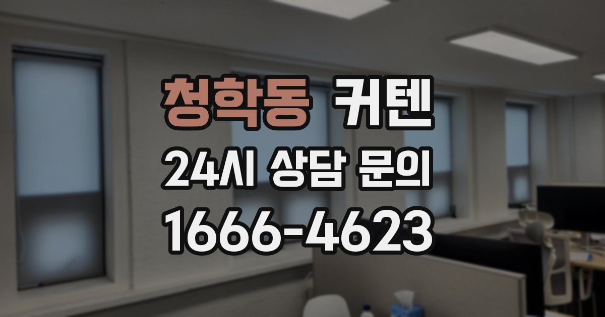 청학동 커텐