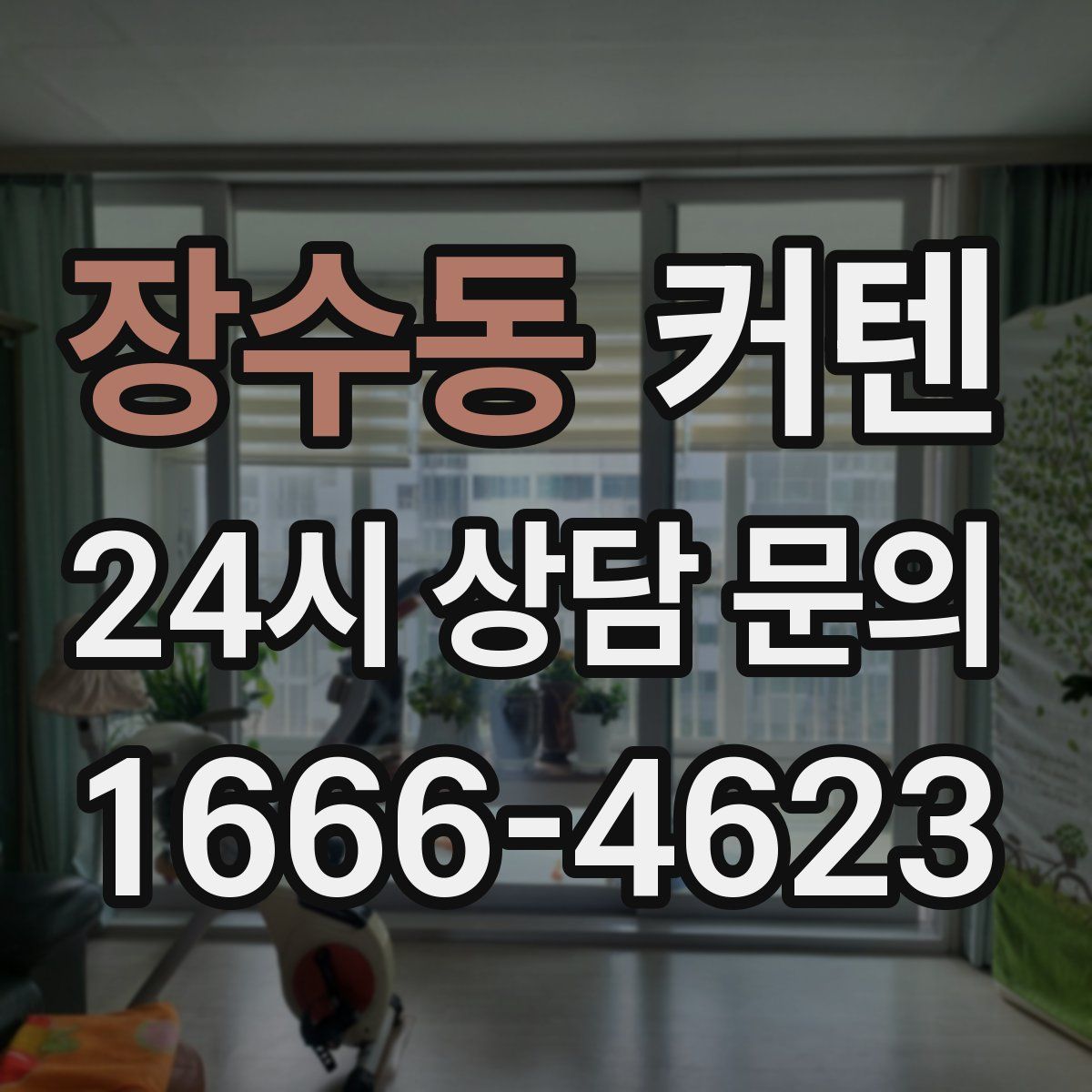 장수동 커텐