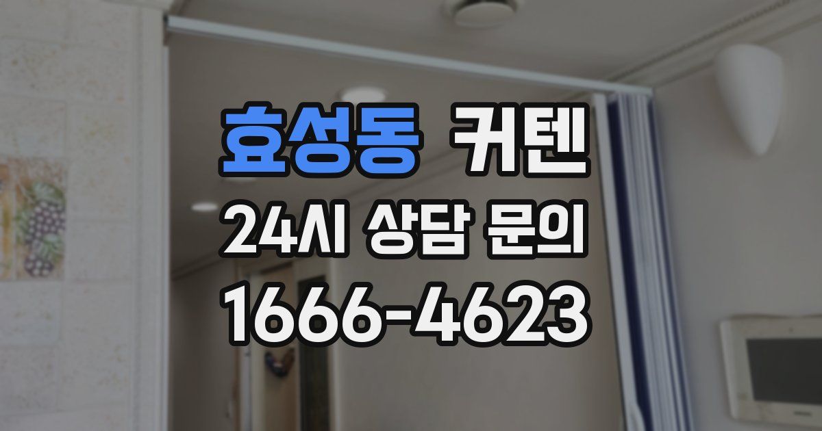 효성동 커텐