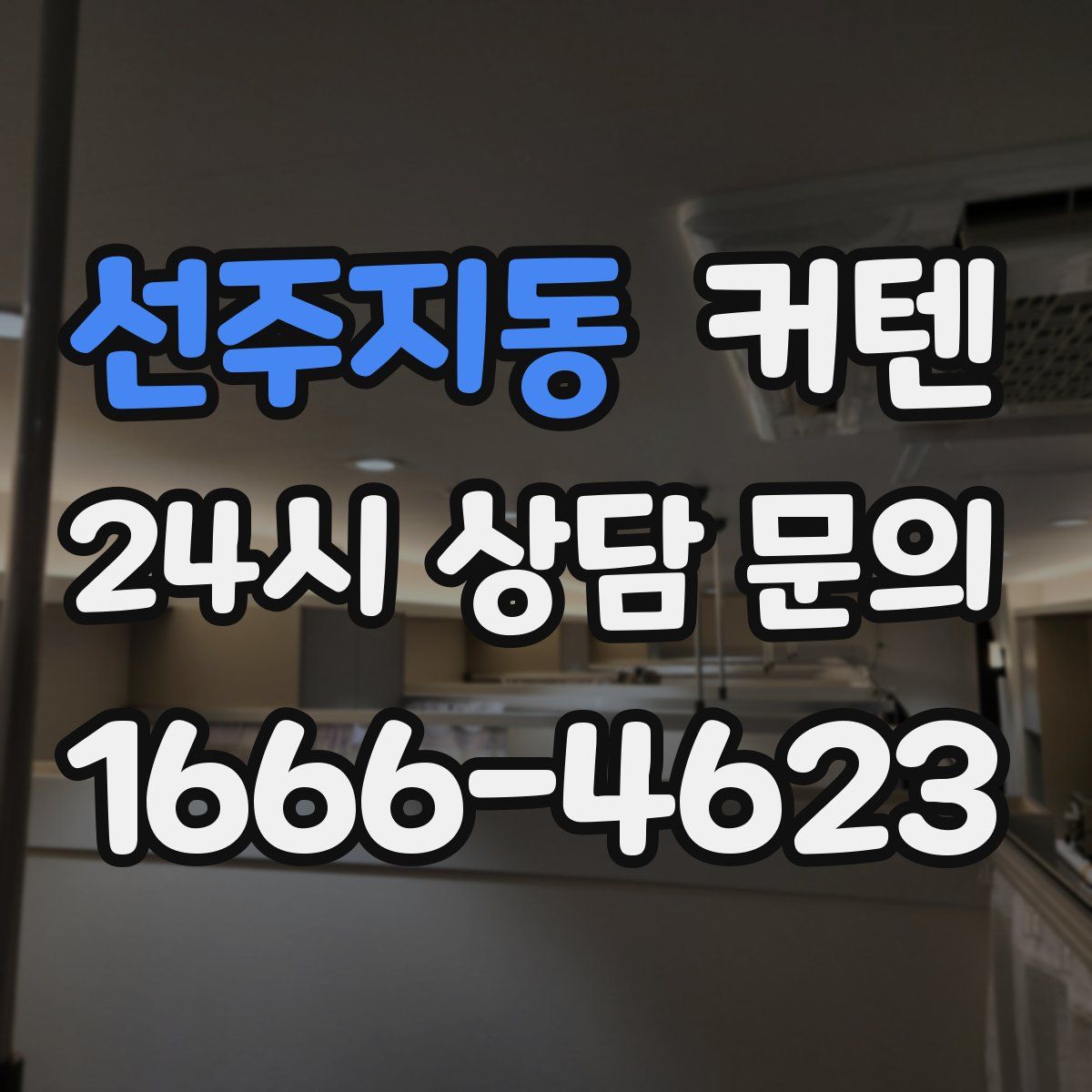 선주지동 커텐