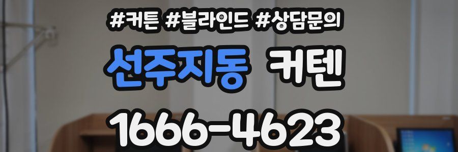 선주지동 커텐