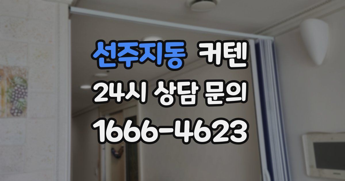 선주지동 커텐