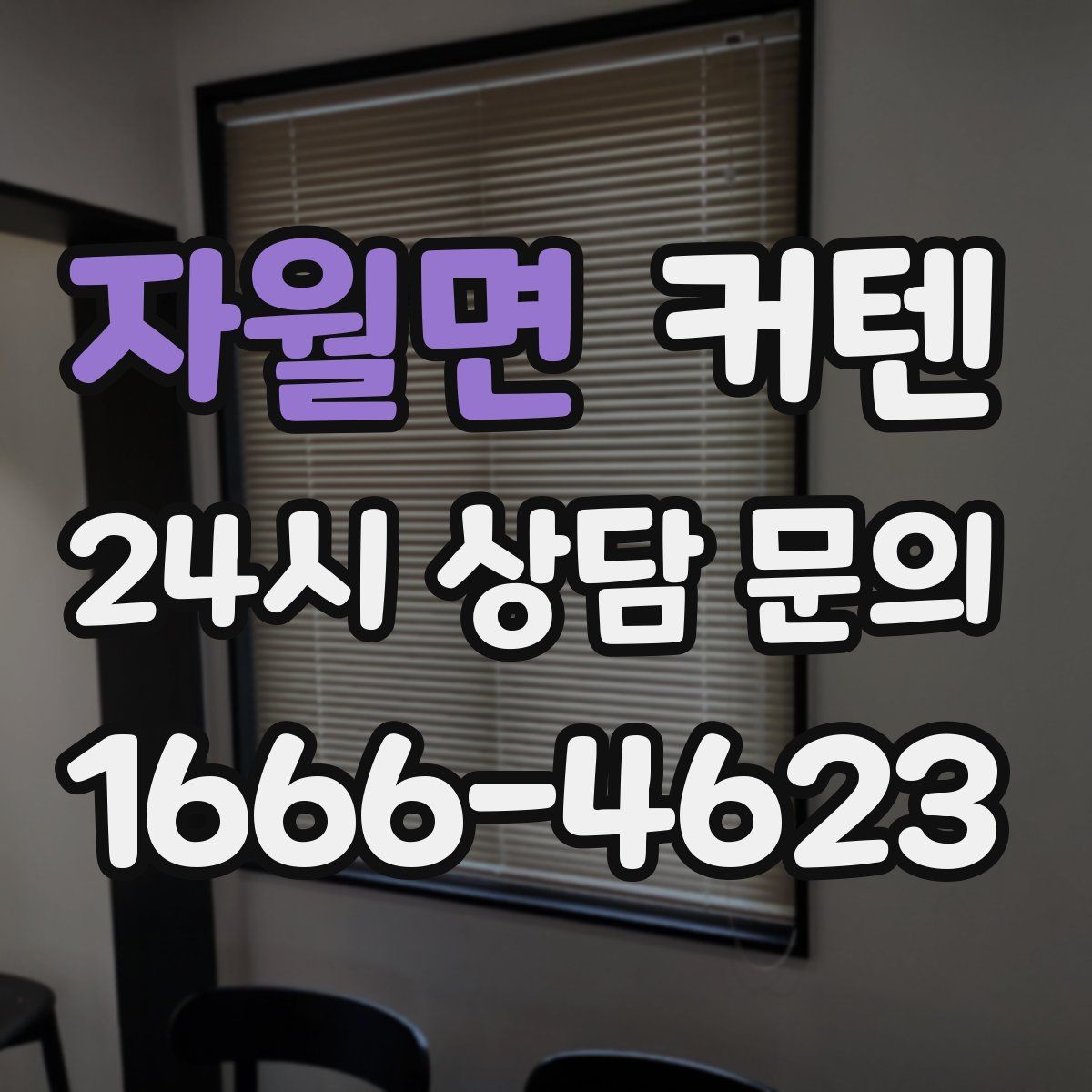 자월면 커텐