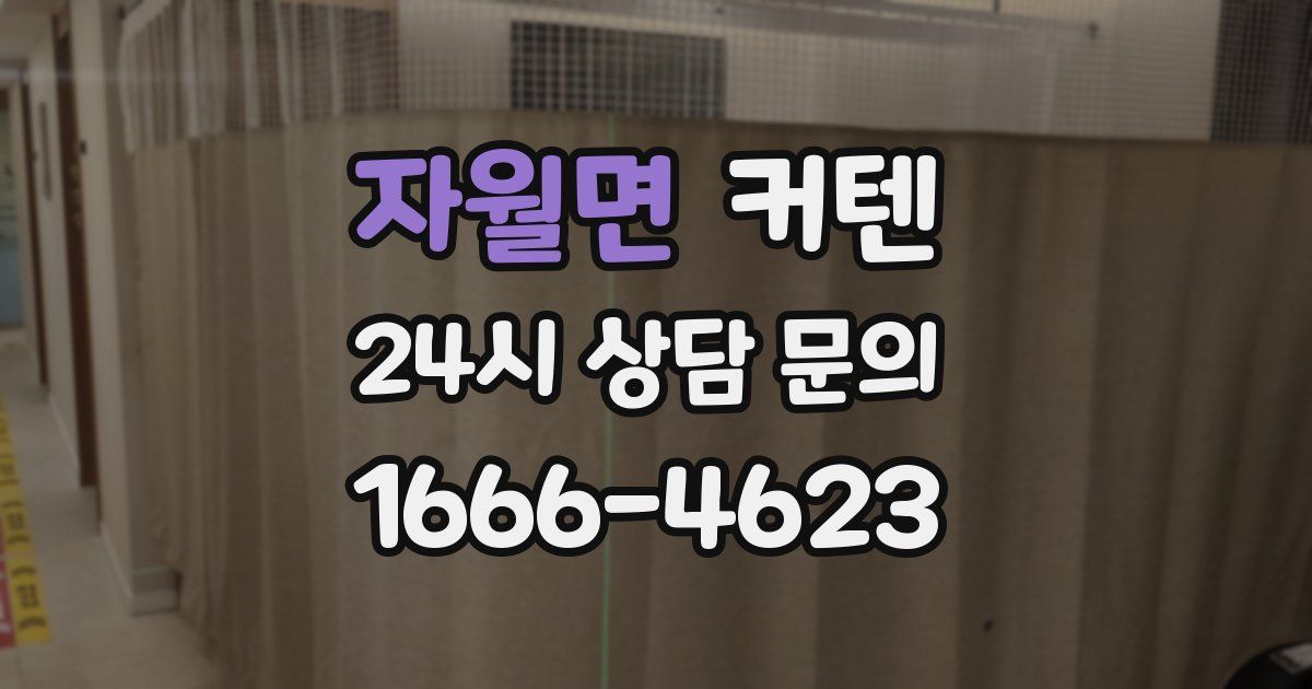 자월면 커텐