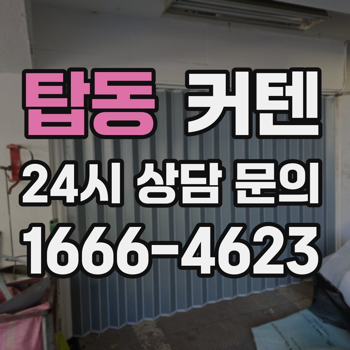 탑동 커텐