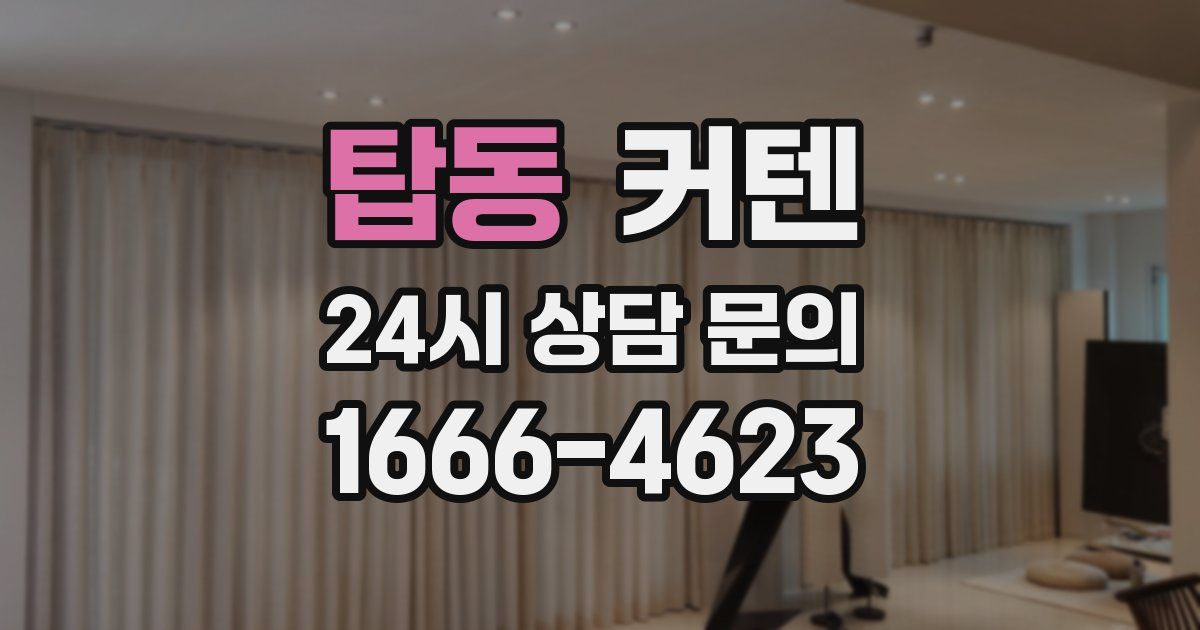 탑동 커텐