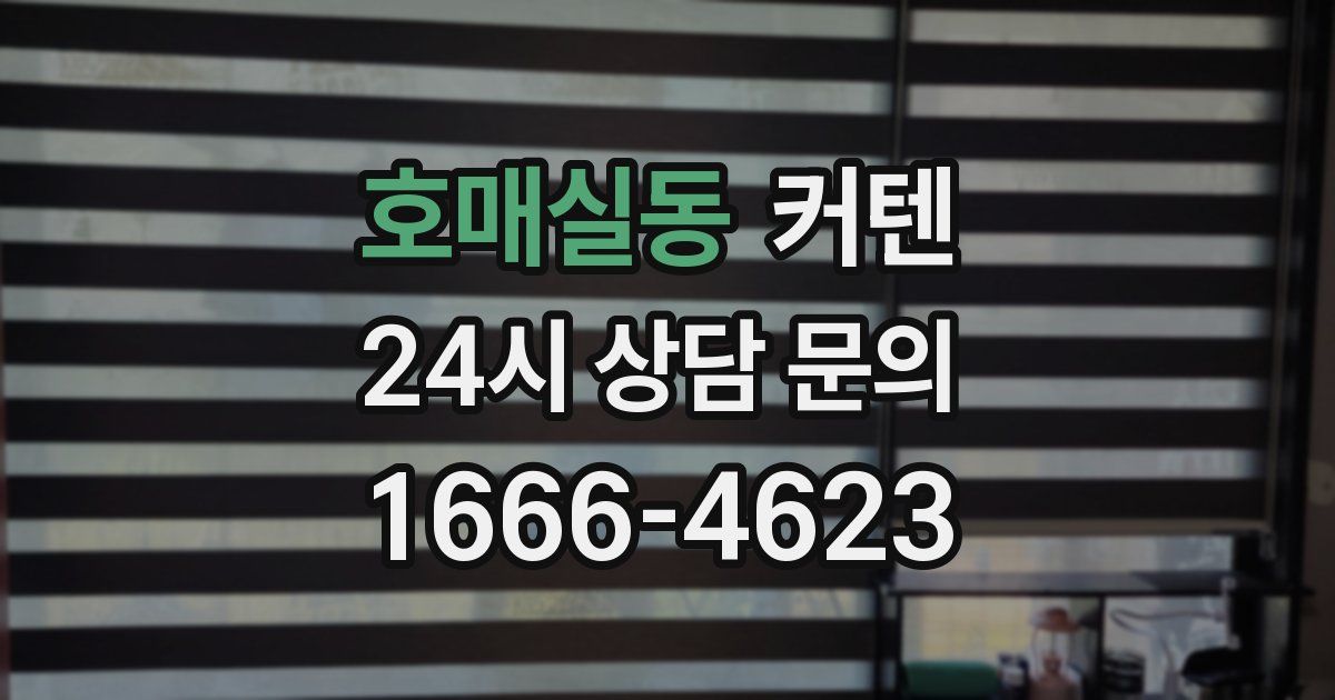 호매실동 커텐