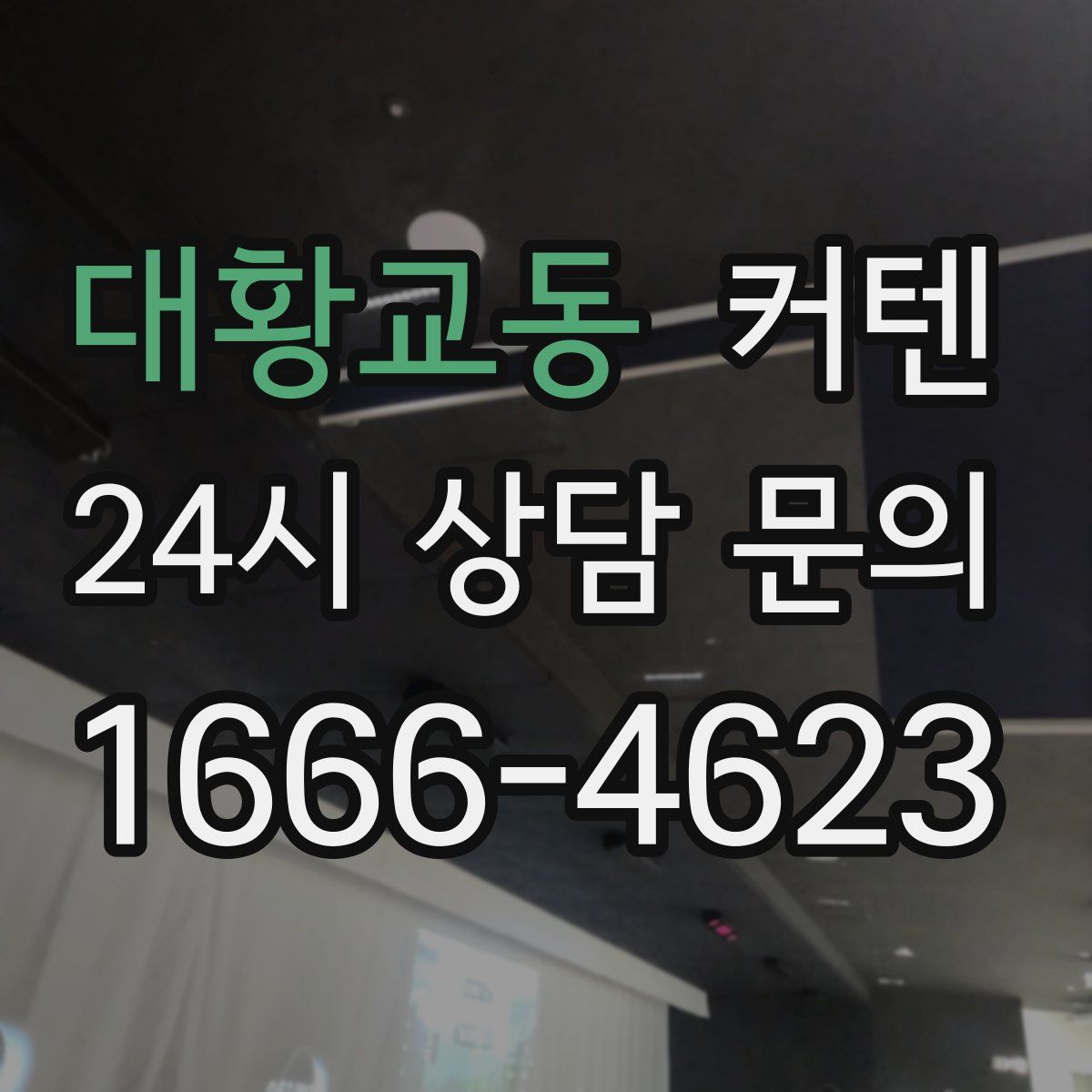 대황교동 커텐