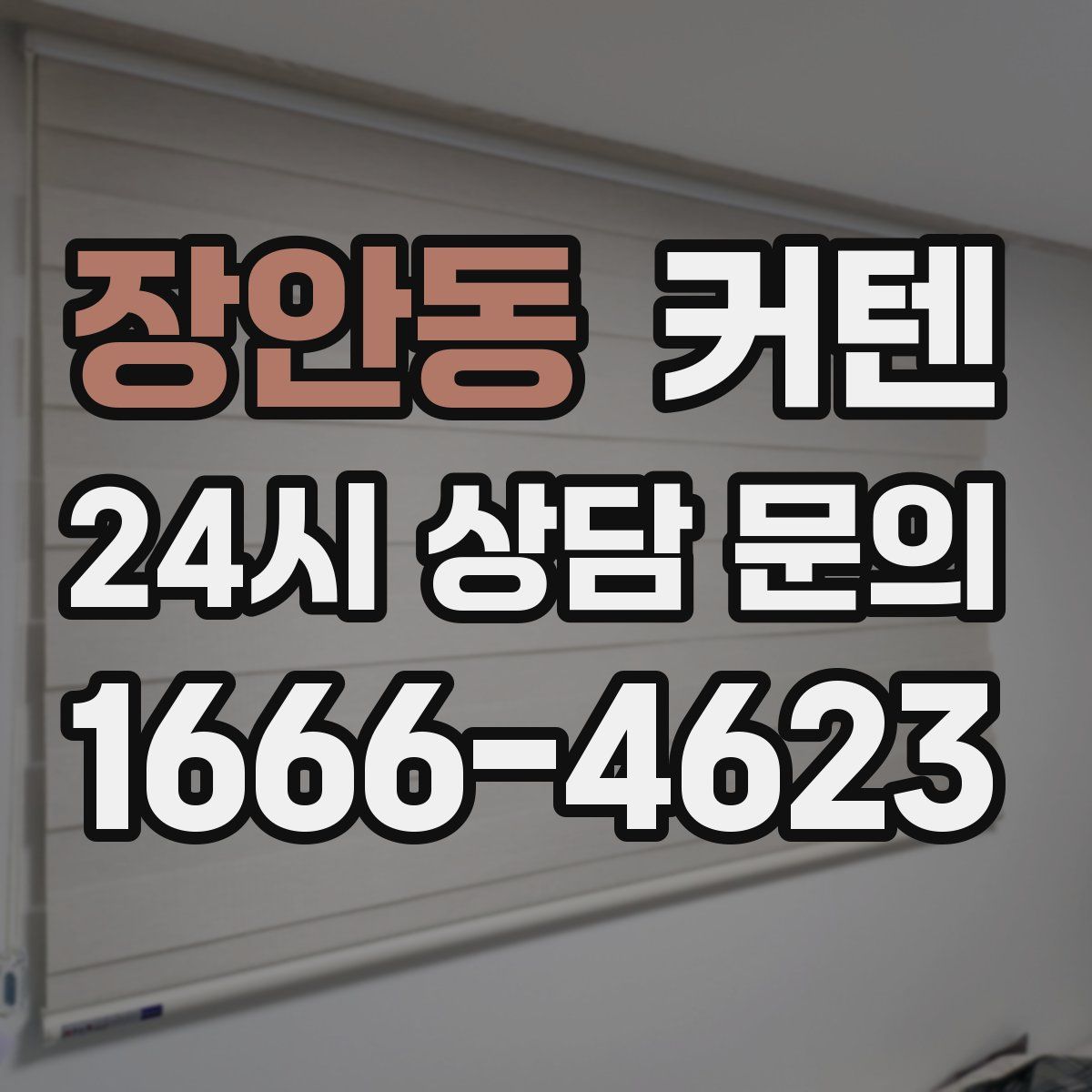 장안동 커텐