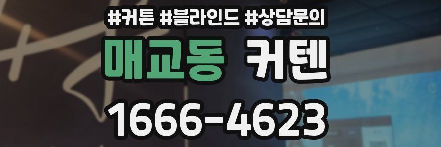 매교동 커텐