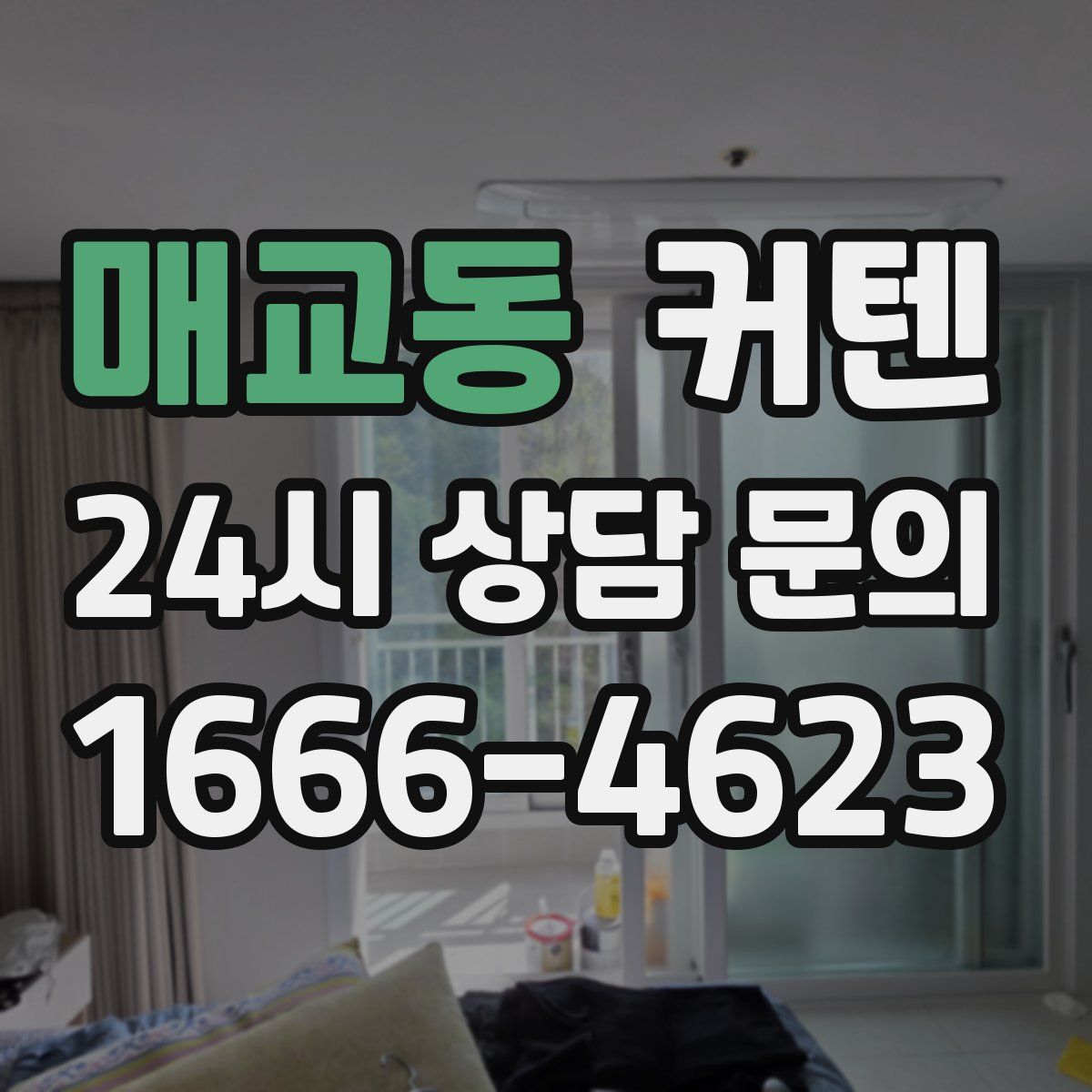 매교동 커텐