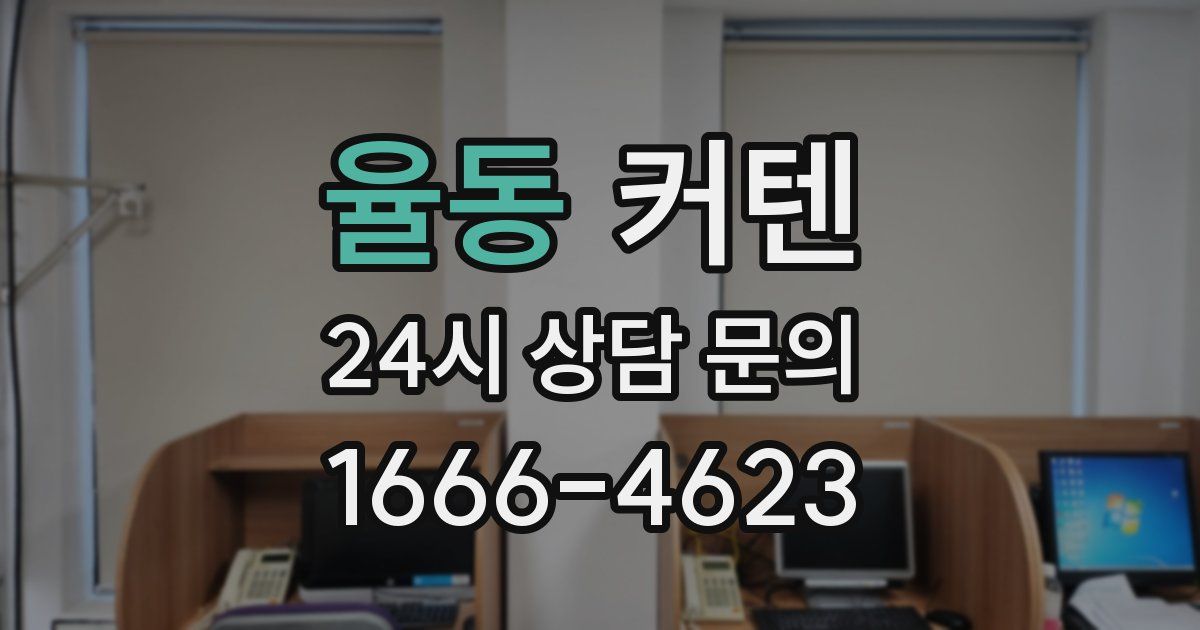 율동 커텐