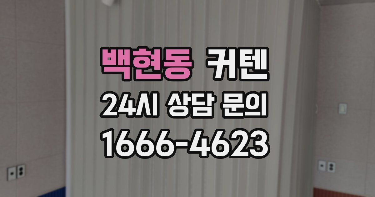 백현동 커텐