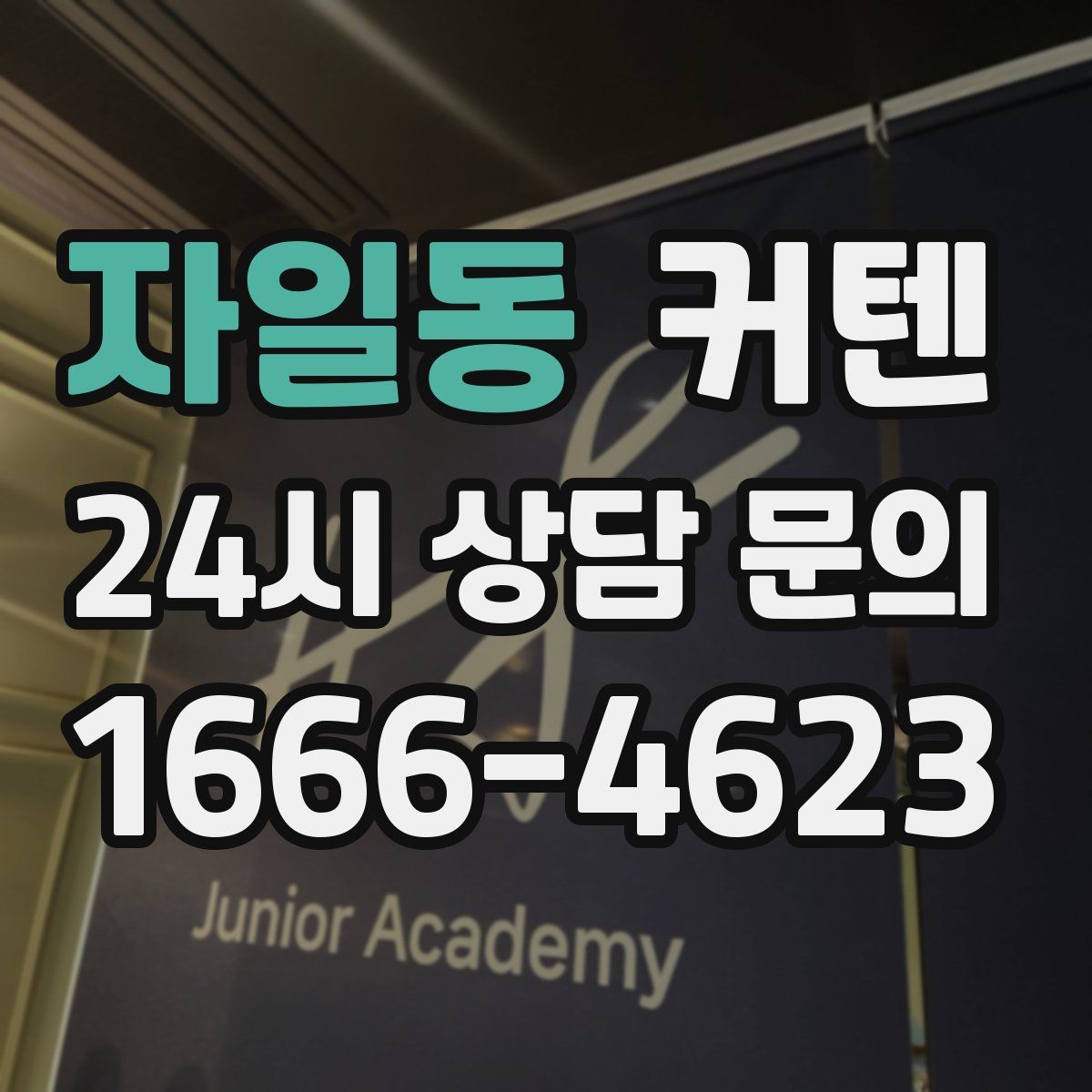 자일동 커텐