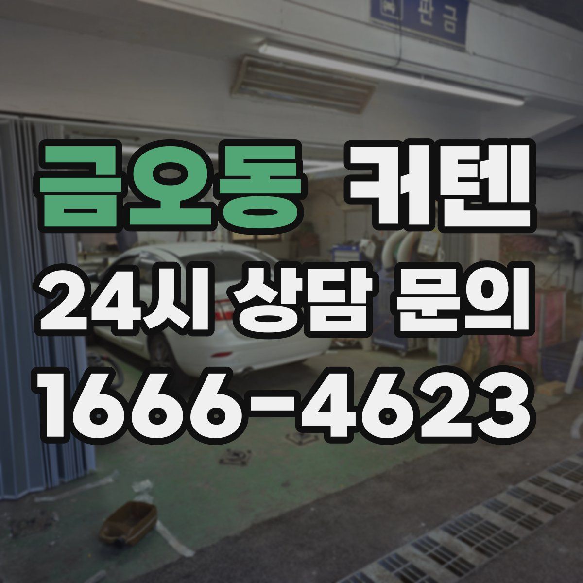 금오동 커텐
