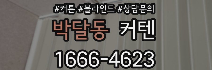 박달동 커텐