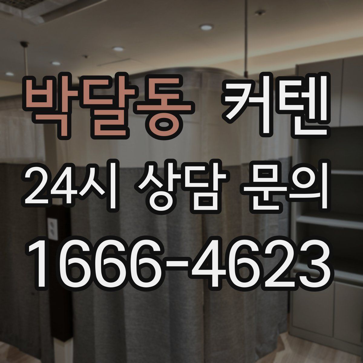 박달동 커텐