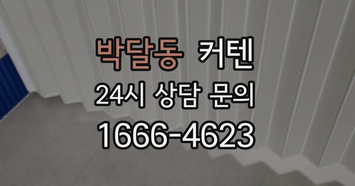박달동 커텐