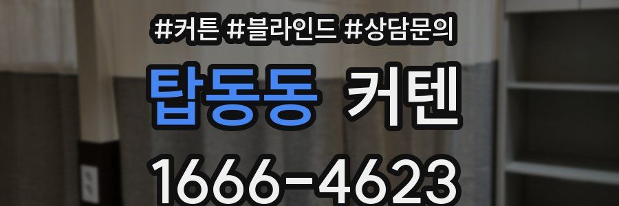 탑동동 커텐
