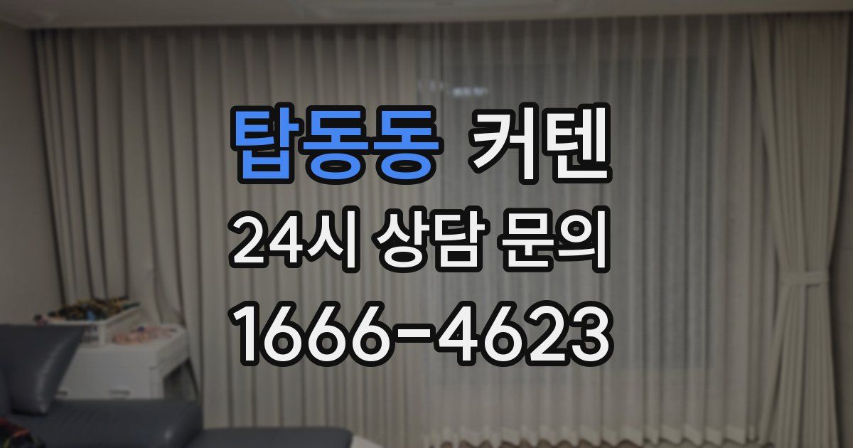 탑동동 커텐