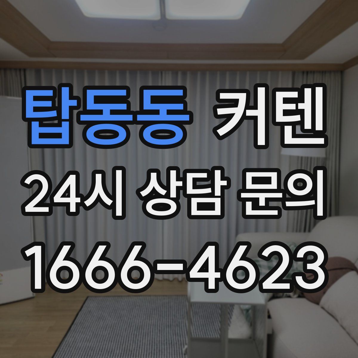 탑동동 커텐