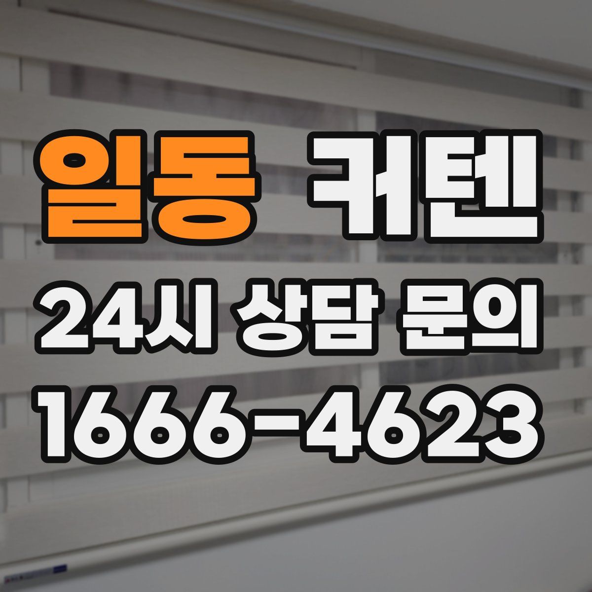 일동 커텐