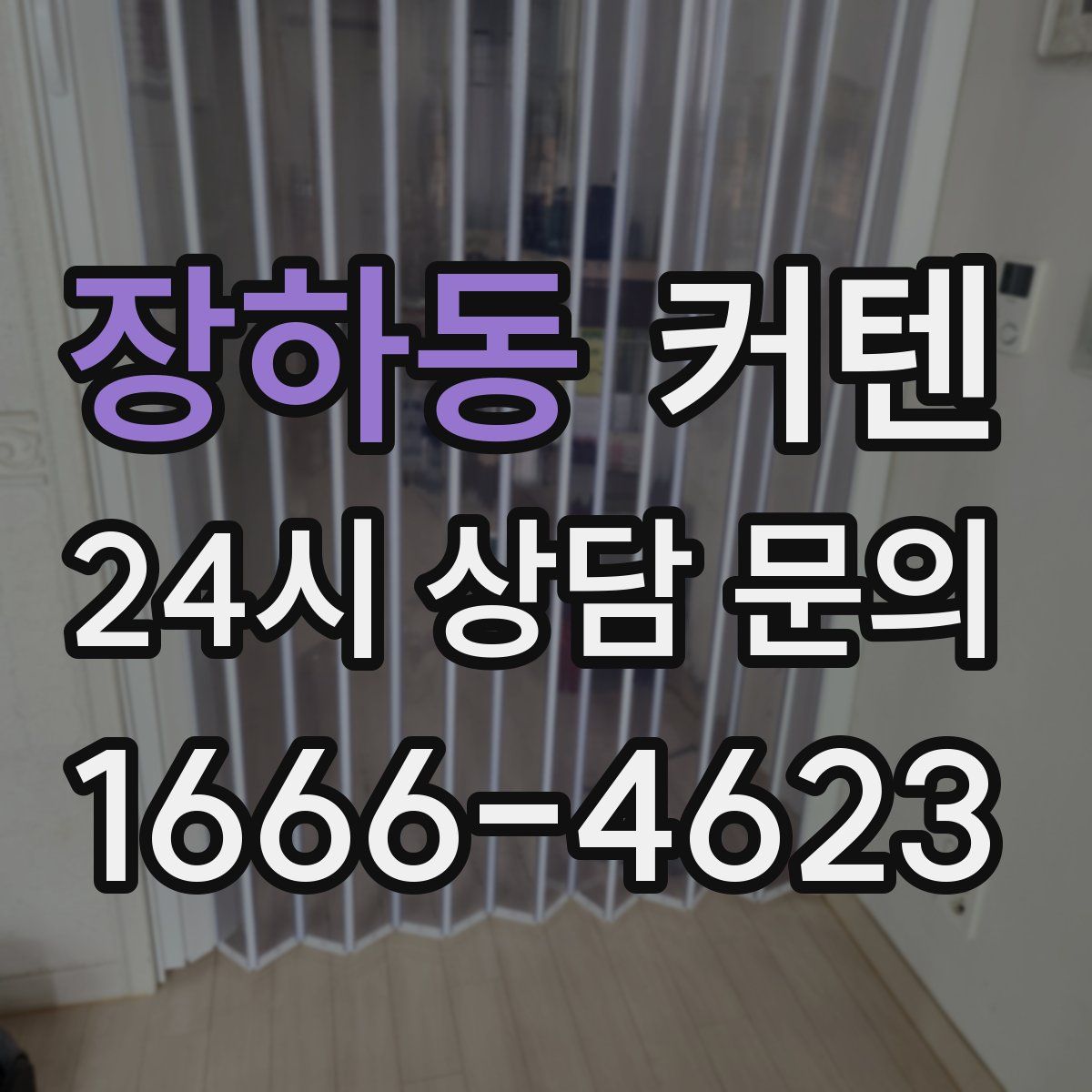 장하동 커텐
