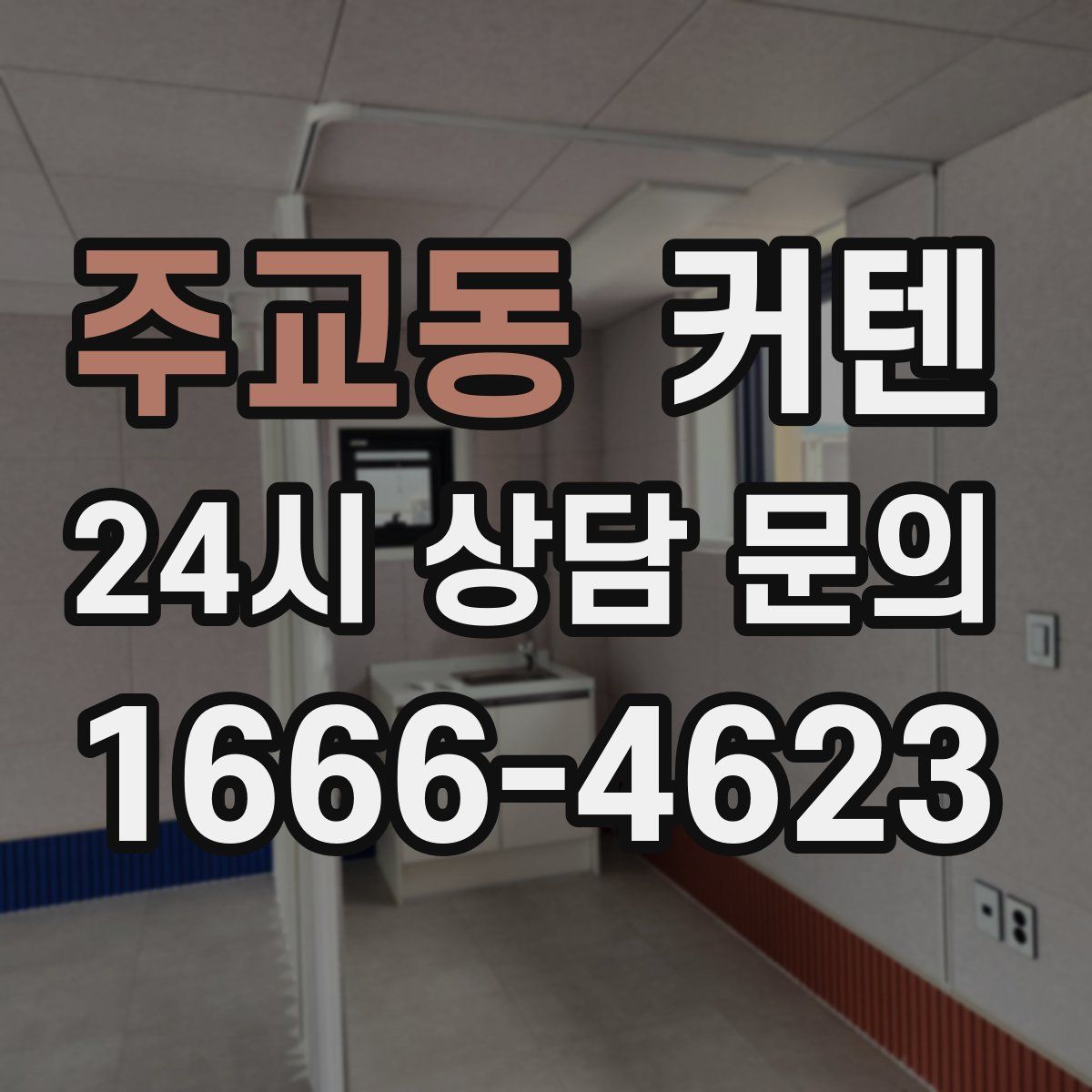 주교동 커텐