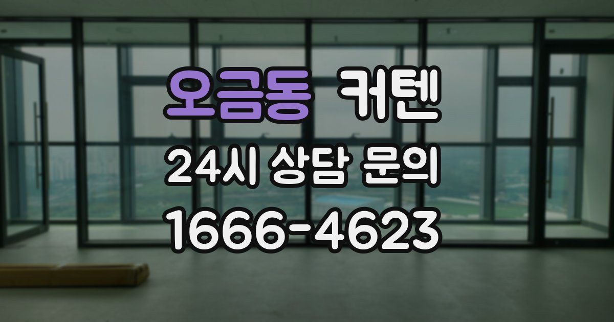 오금동 커텐