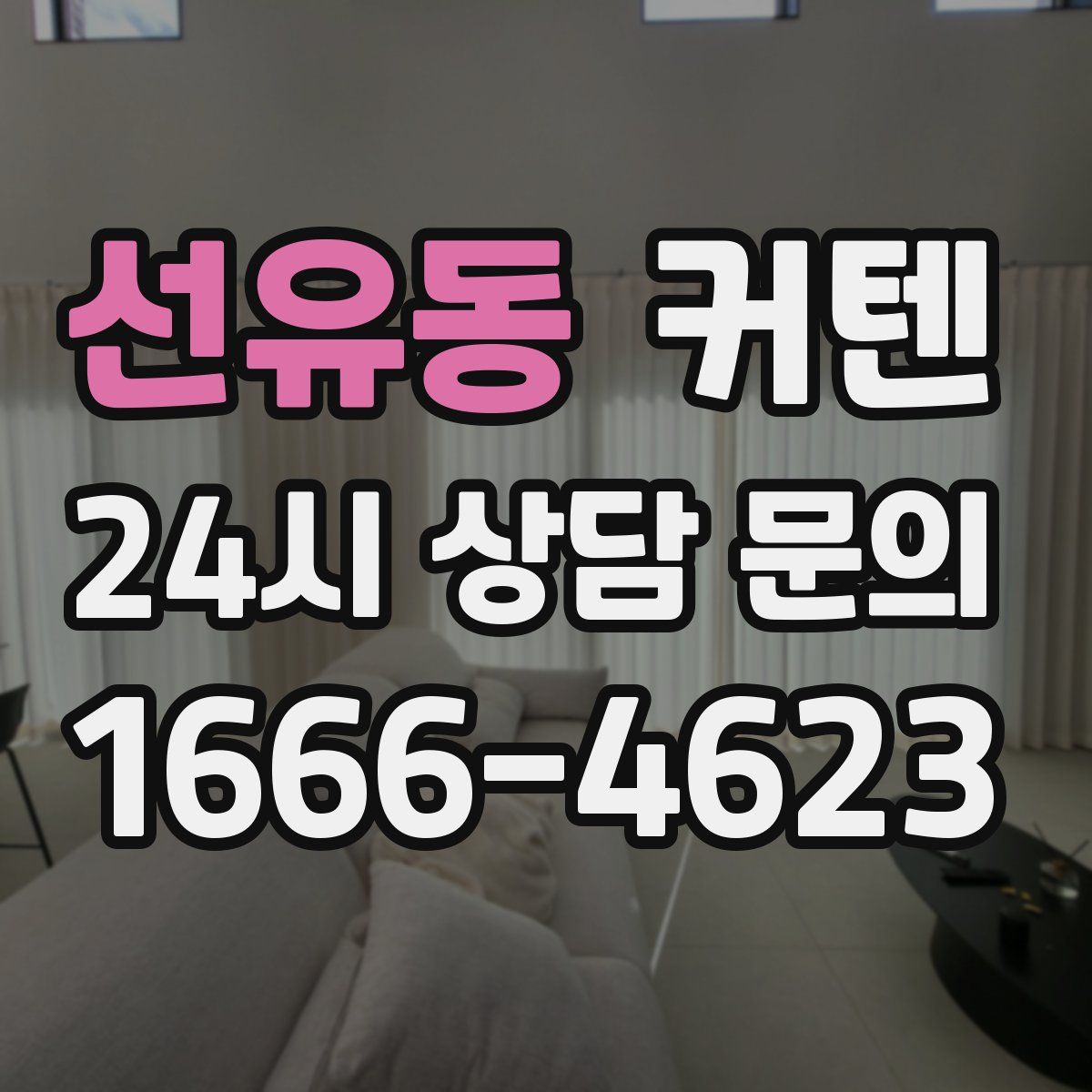 선유동 커텐