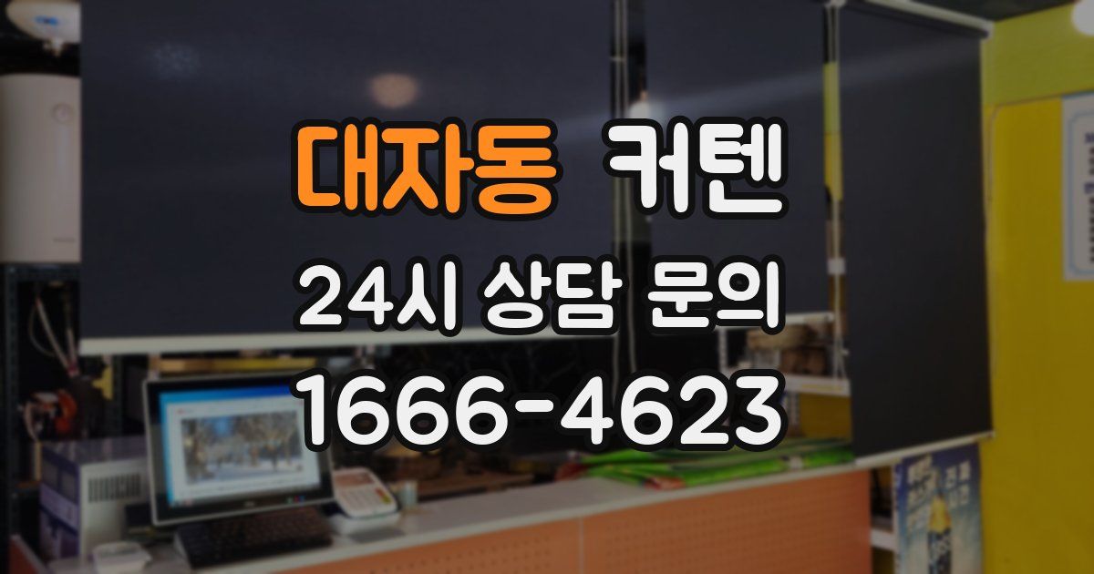 대자동 커텐