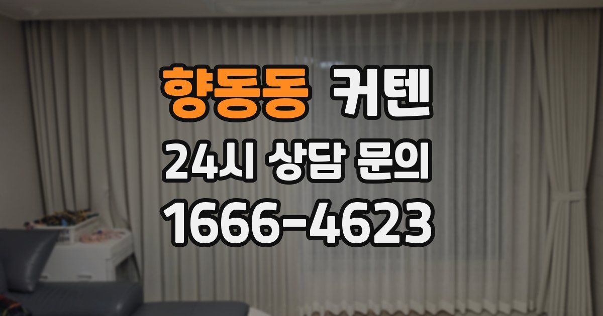 향동동 커텐